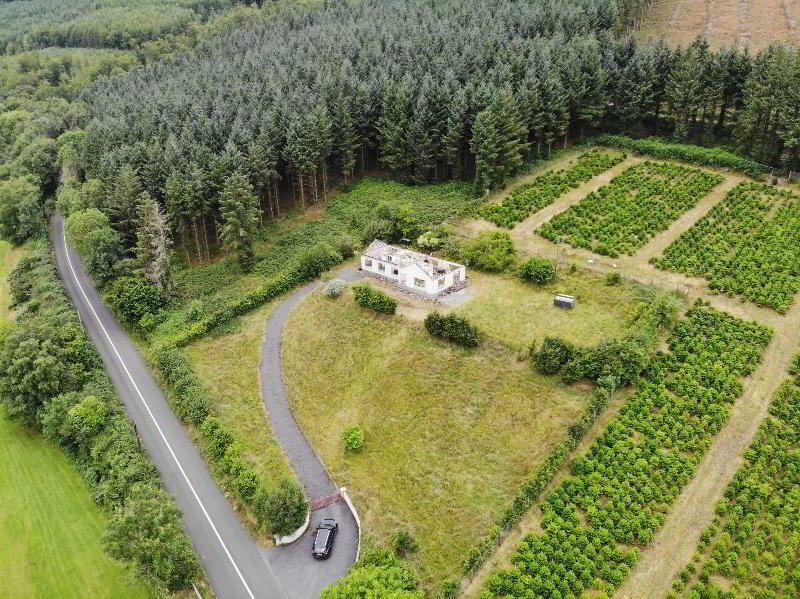 4 bedroom bungalow for sale in Lyranearla, Mountain Road, Clonmel, Ireland