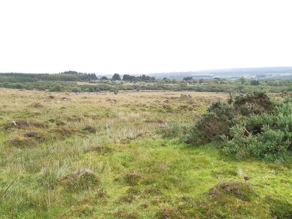 Farm land for sale in Sligo, Ireland