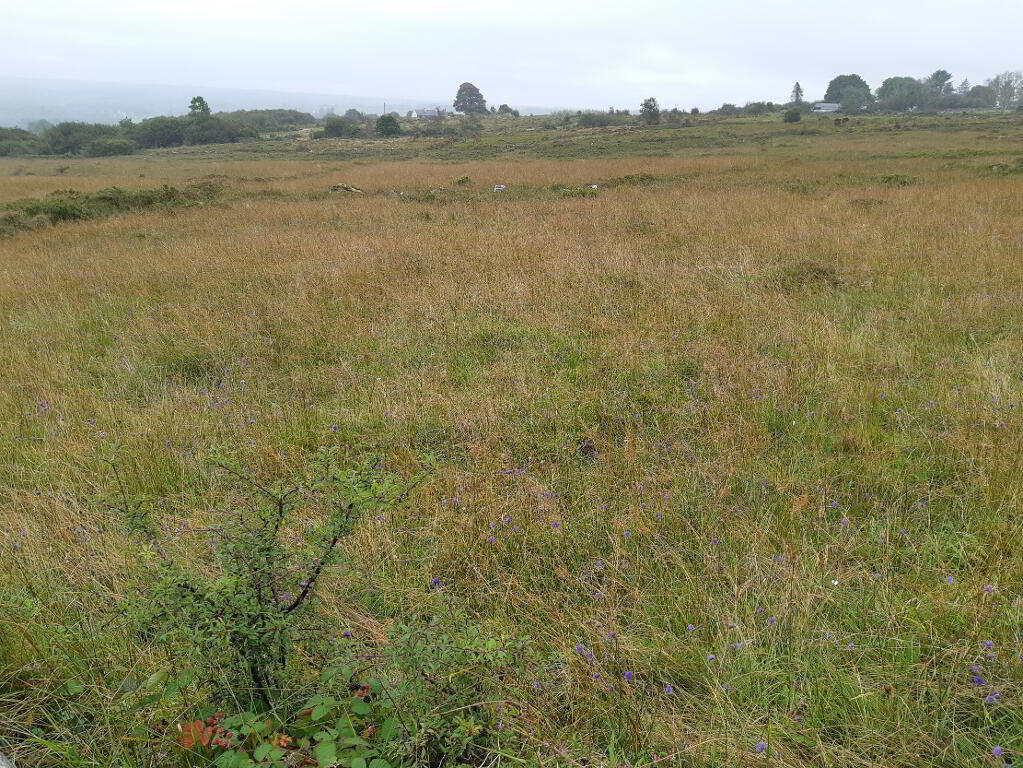 Farm land for sale in Sligo, Ireland