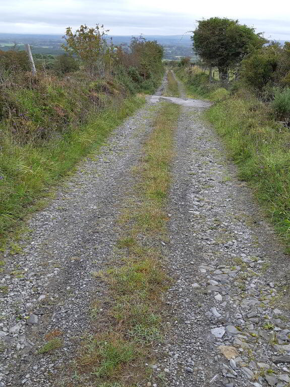 Farm land for sale in Sligo, Ireland