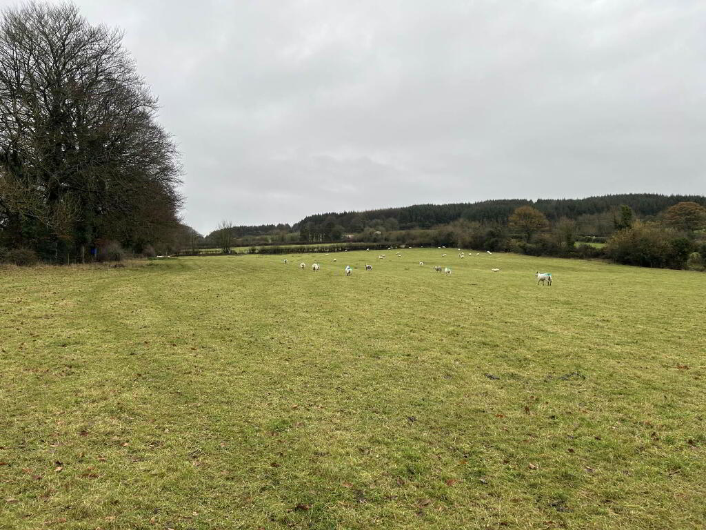 Main image of property: C. 4.28 Ha At Ballyduff, Roscrea