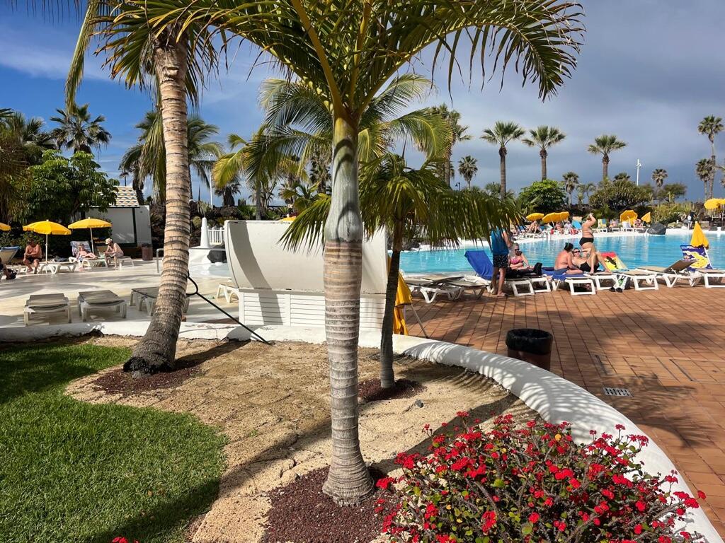 Main image of property: Playa de las Americas, Tenerife, Canary Islands
