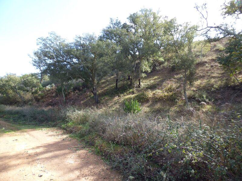 Main image of property: Silves, Algarve, Portugal