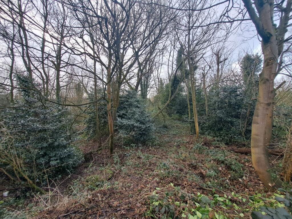 Additional property image - Chances Street, Birmingham