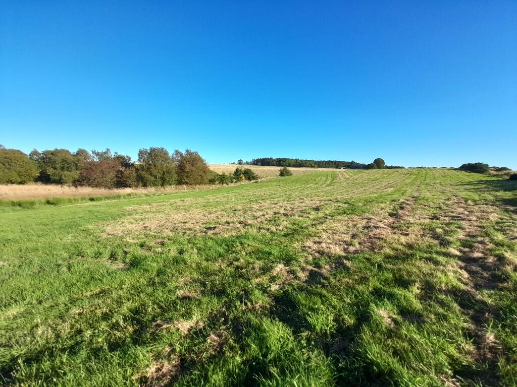 Additional property image - Land at Hillhead of Mountblairy, Forglen, Turriff, AB53 4JT