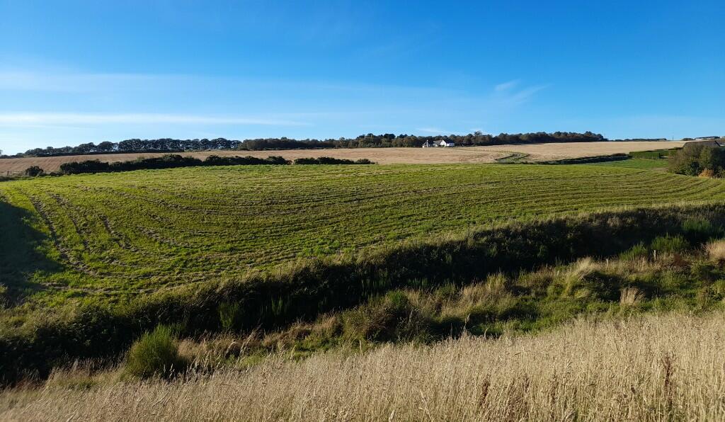 Additional property image - Land at Hillhead of Mountblairy, Forglen, Turriff, AB53 4JT