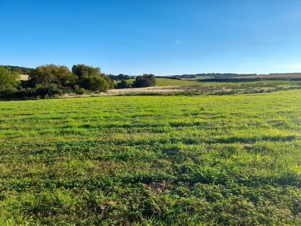 Additional property image - Land at Hillhead of Mountblairy, Forglen, Turriff, AB53 4JT