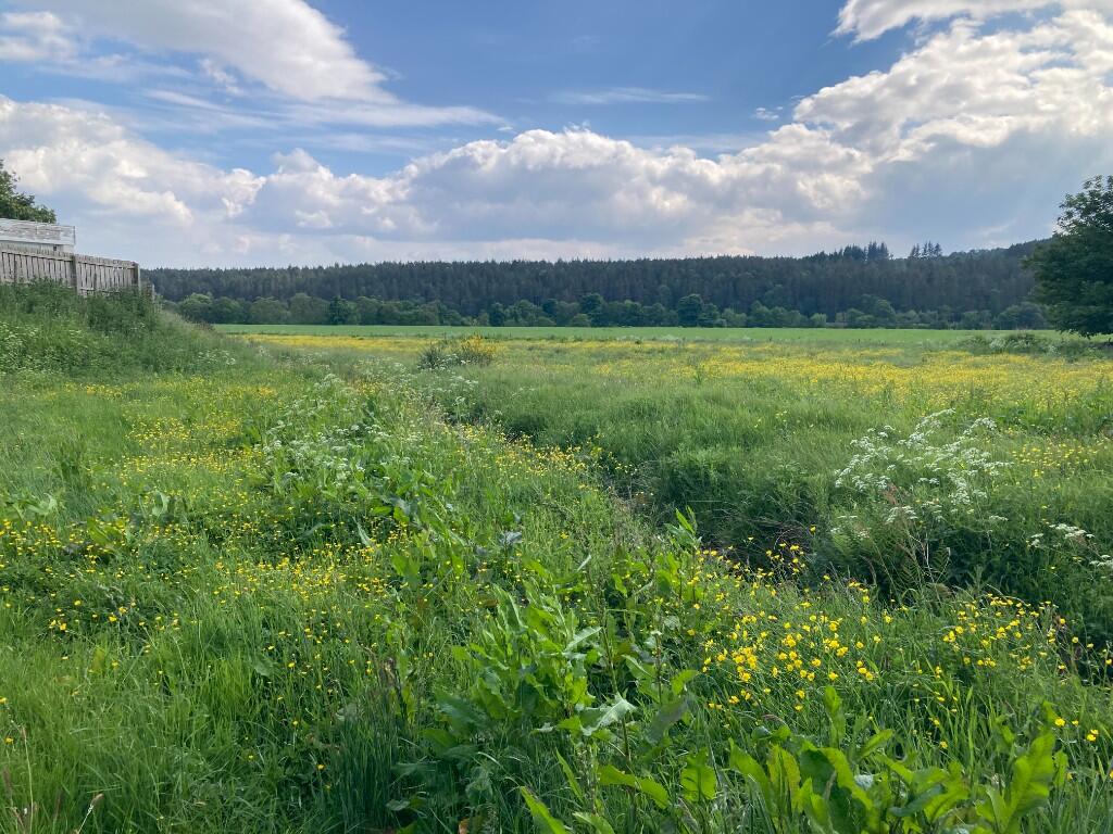 Main image of property: Land at North Deeside Road, Kincardine O'Neil