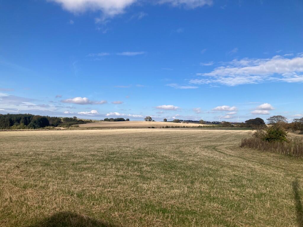 Additional image 29 of Overton of Ardo, Methlick, AB41 7HT