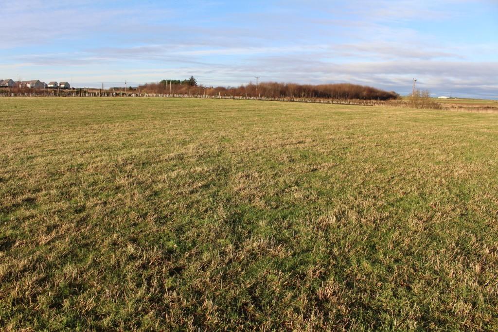 Additional property image - Mill of Foveran Farmhouse and land, Foveran, Ellon, AB41 6AF