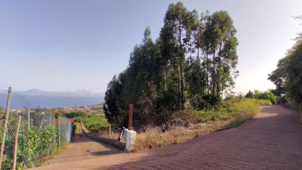 Main image of property: Canary Islands, Tenerife, Tacoronte