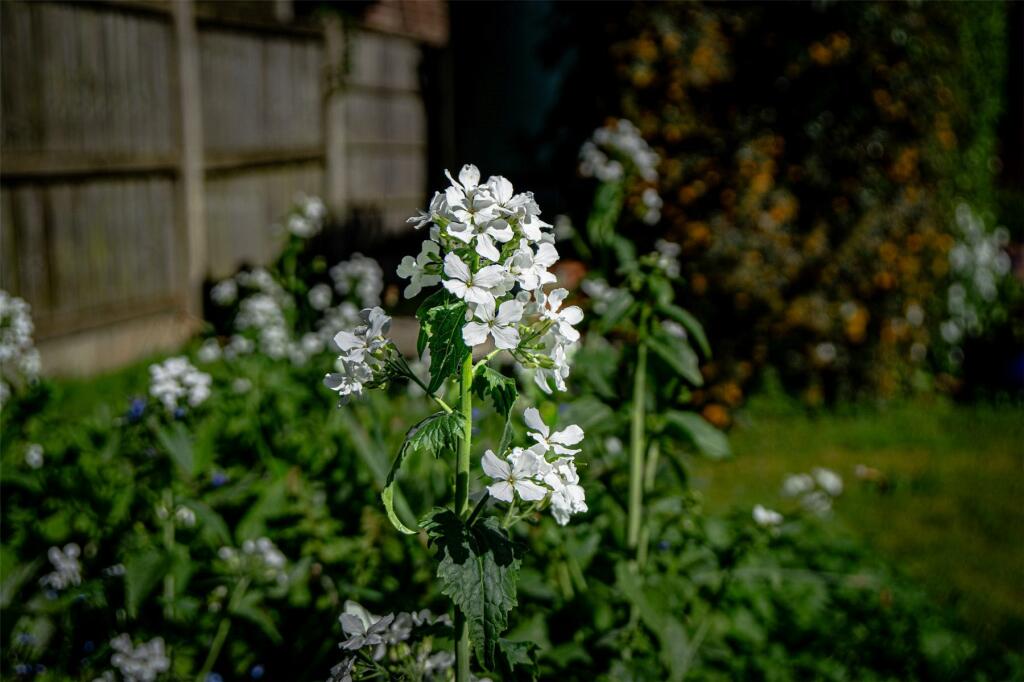 Additional property image - Wareham, Dorset