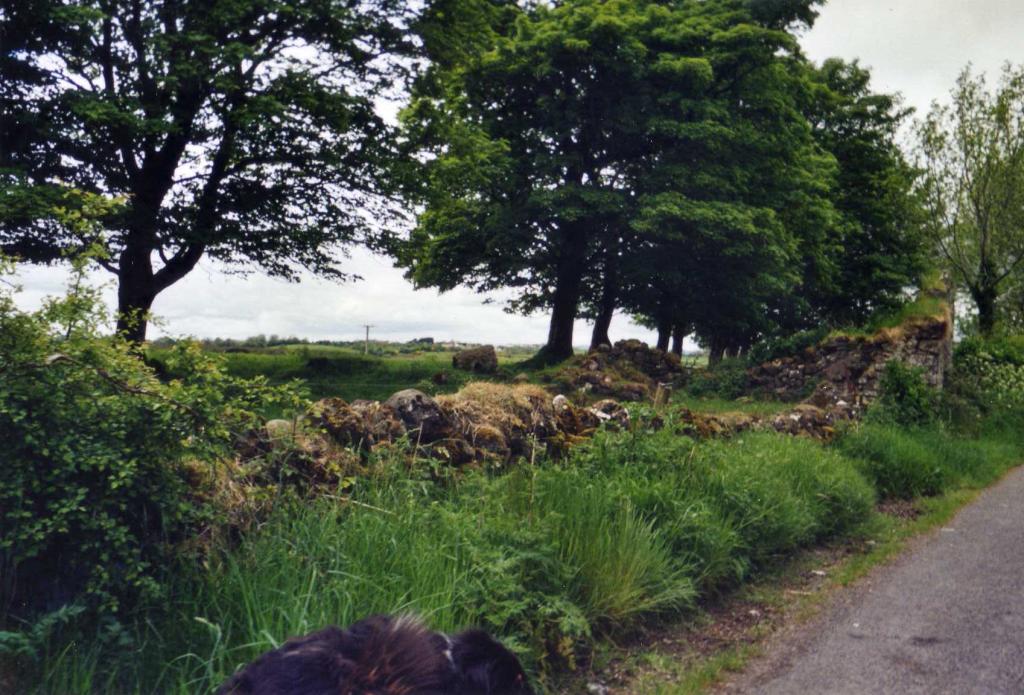 Land for sale in Mayo, Knock, Ireland