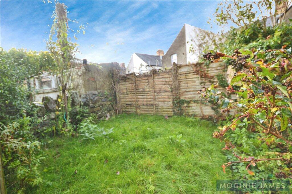 Additional property image - Essich Street, Roath, Cardiff