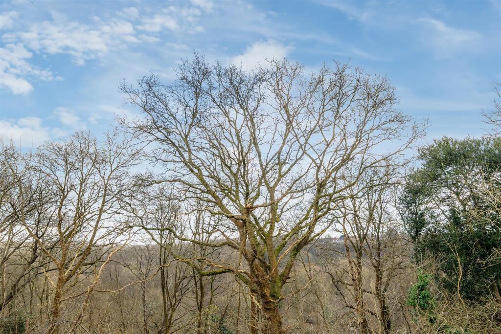 Additional property image - 34 Rochester Road, Bristol
