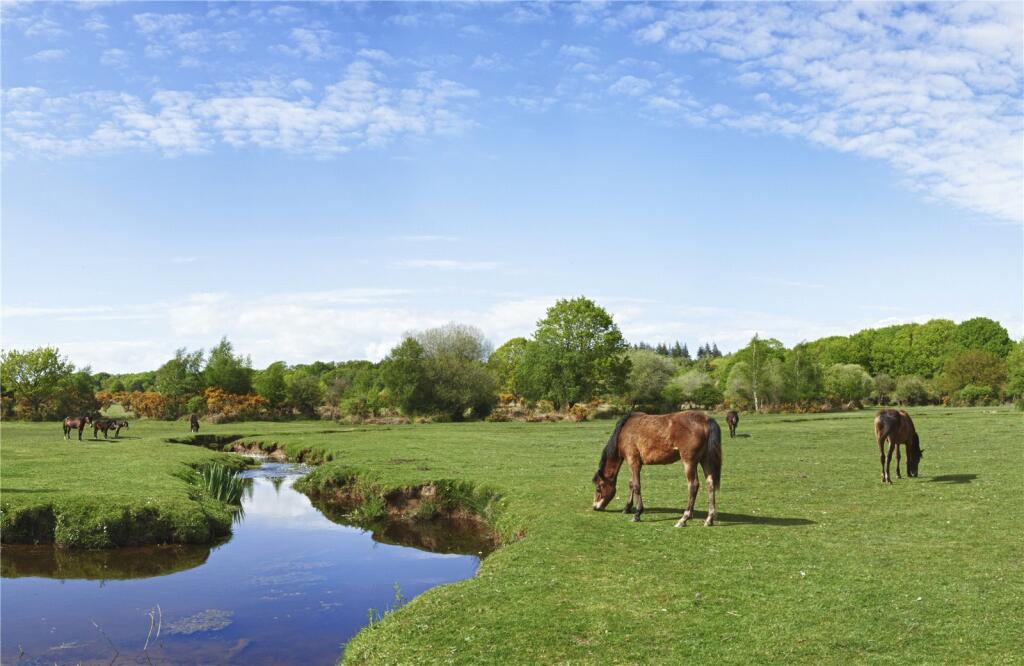 Additional property image - Vincent Road, New Milton, Hampshire, BH25
