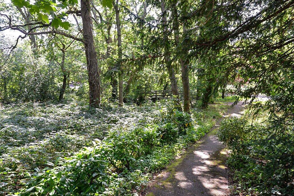Additional property image - Lakeside Pines, Barrs Avenue, New Milton, Hampshire, BH25