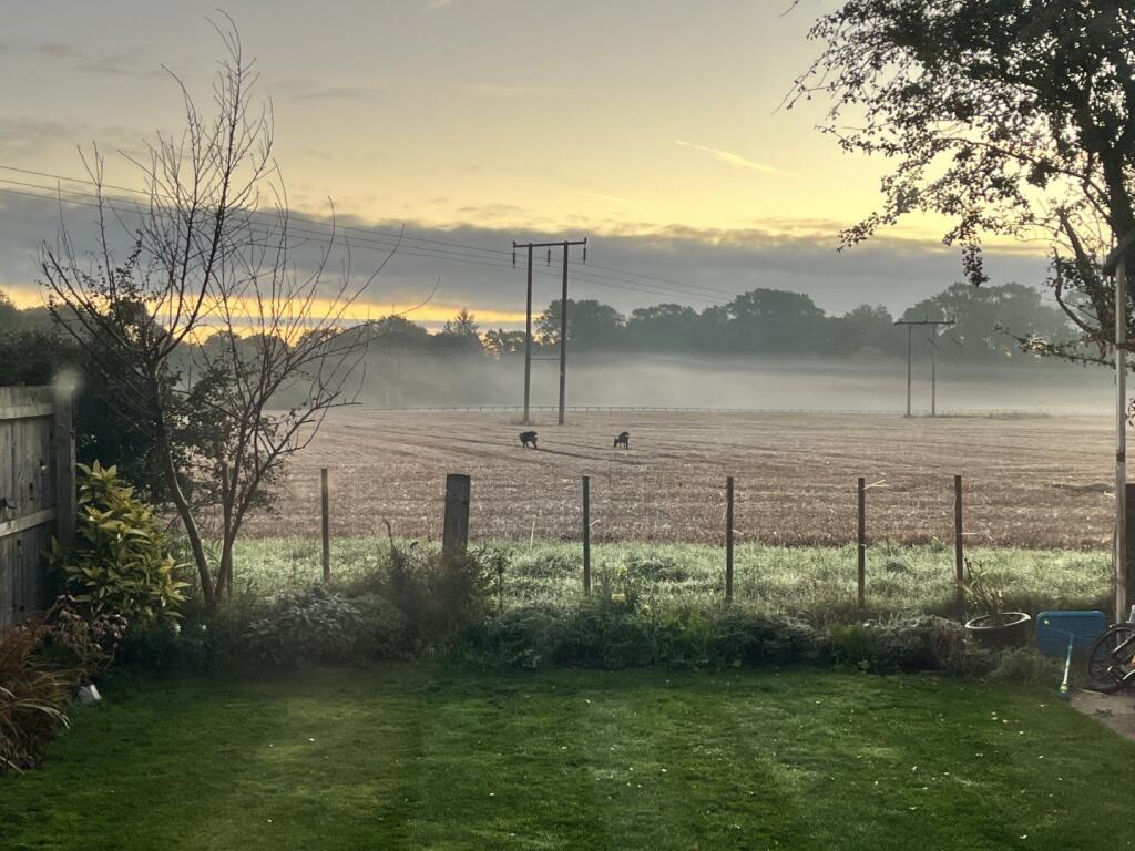 Main image of property: Polar Bear Drive, Driffield, YO25 9FH