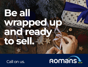 Get brand editions for Romans, Farnham