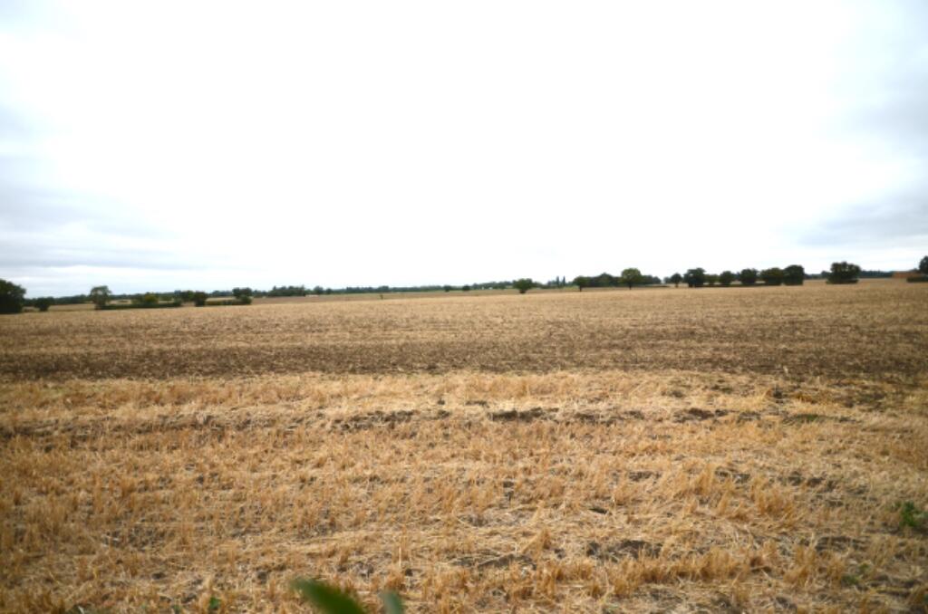 Additional property image - Field View The Street, Sheering