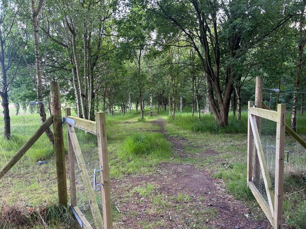 Main image of property: Woodland at Nethermains of Kinnard Woodland