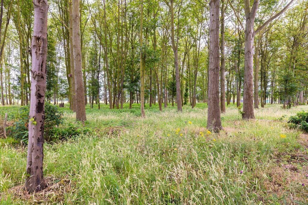 Additional property image - Massingham Way, Waterbeach, Cambridge, CB25