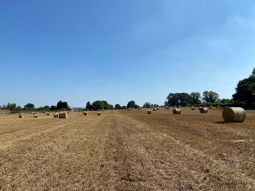 Land for sale in 15.16 Acres Land off Oldwood Road, Tenbury Wells