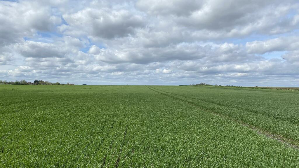 Farm land for sale in Wisbech Road and Wimblington Road, Manea, PE15