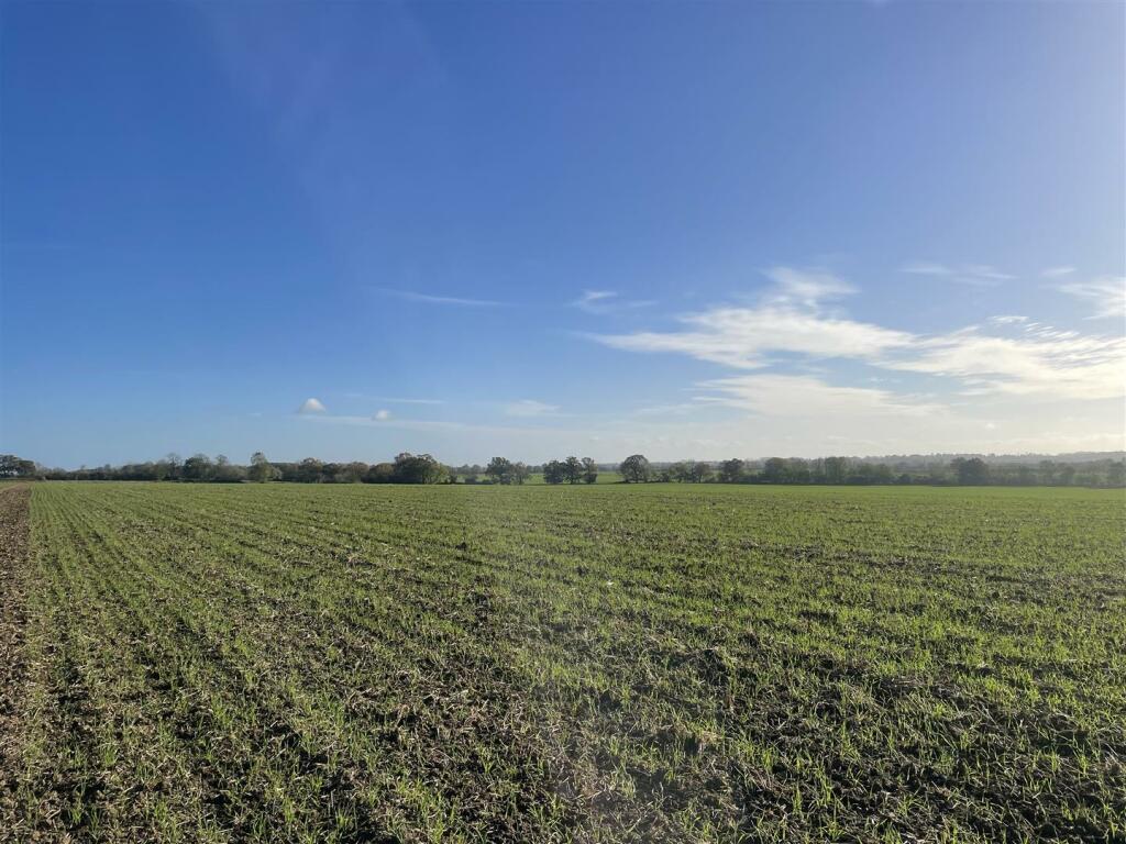 Additional image 2 of Ely