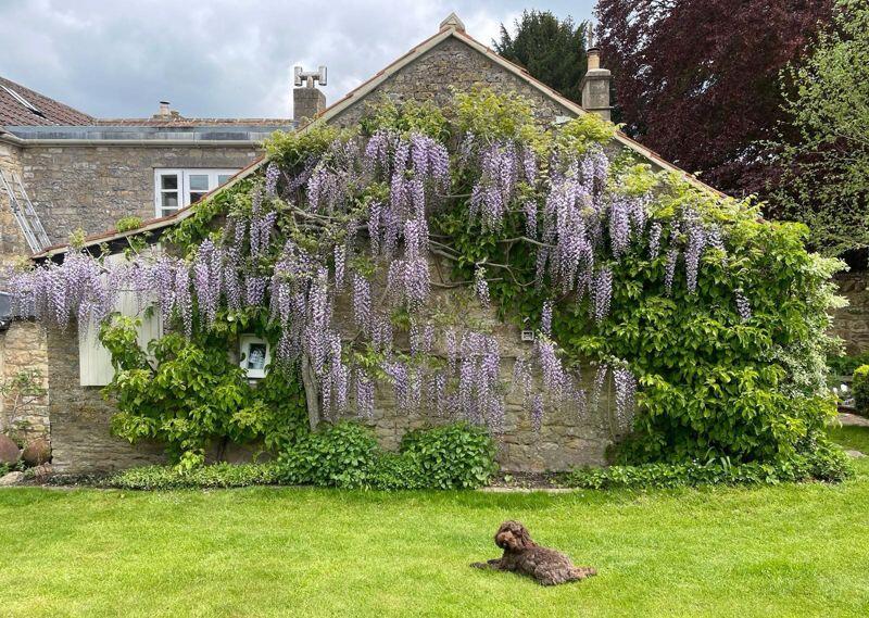 Additional property image - Church Cottage, Dunkerton, Bath