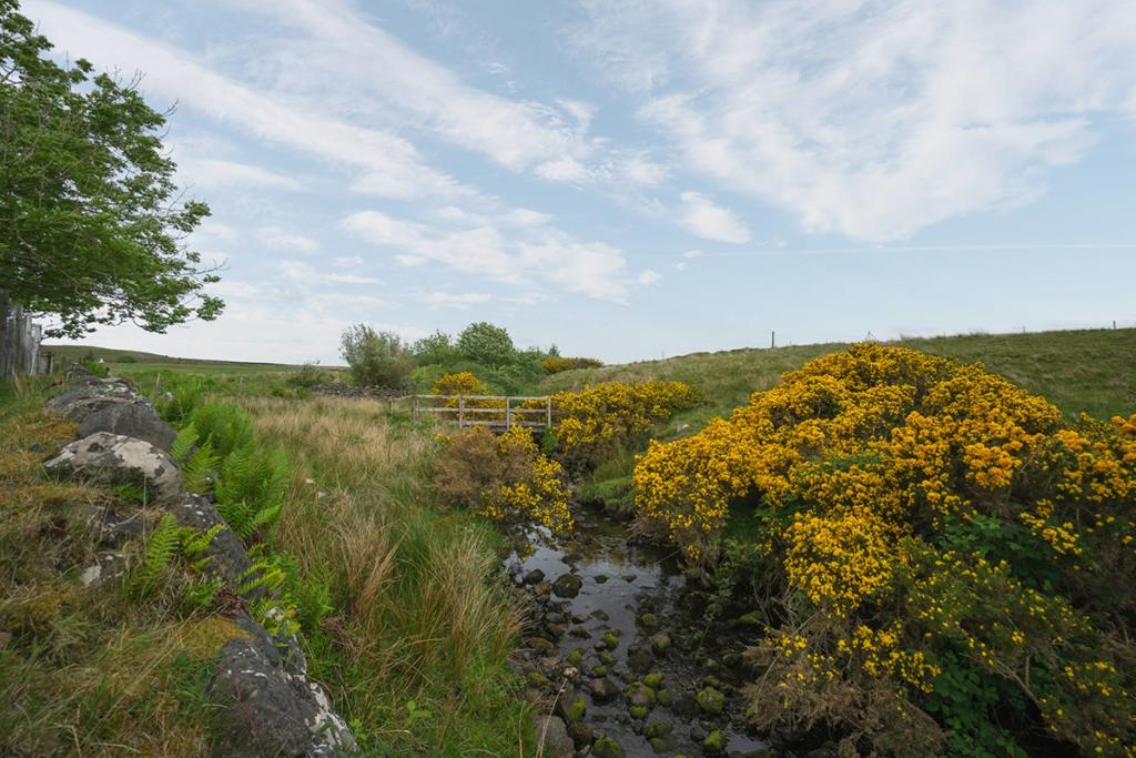 Land for sale in Plot of Land, Aultbea, Achnasheen, IV22 2JF, IV22