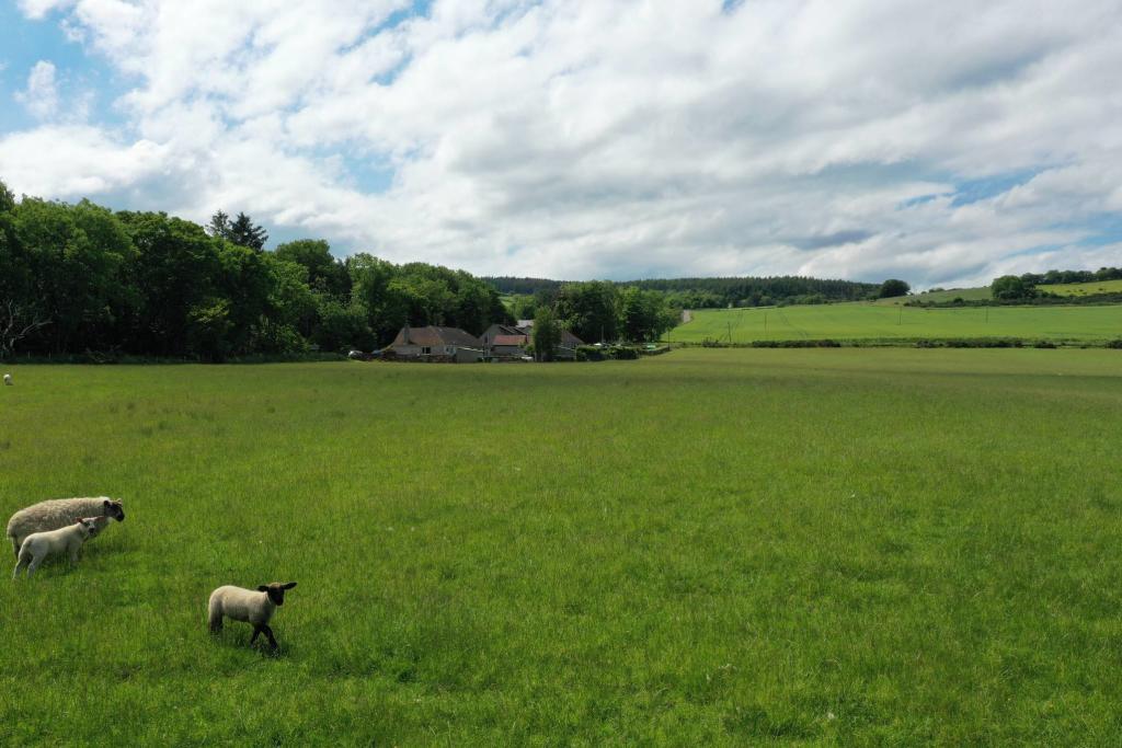 Additional property image - Development Land of 6 Plots, Bognie Place, Bognie, Huntly, AB54 6BF
