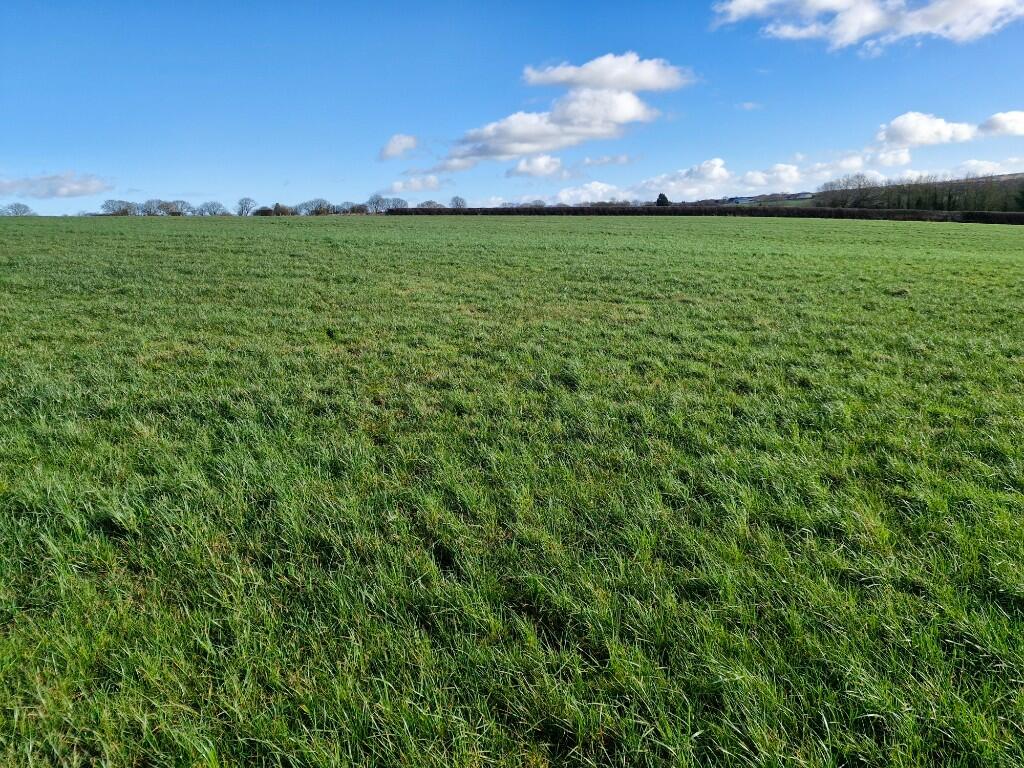 Land for sale in Grassland at Stainsace, Whitby, YO22 4NT, YO22