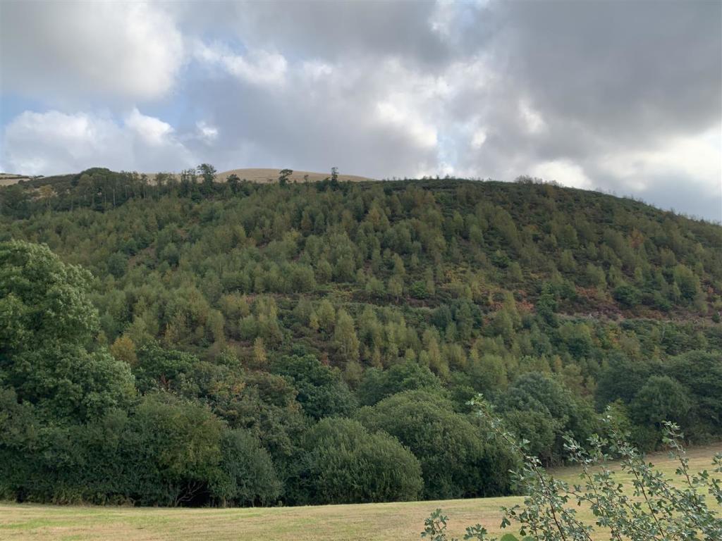 Land for sale in Cyffylliog, Ruthin, LL15