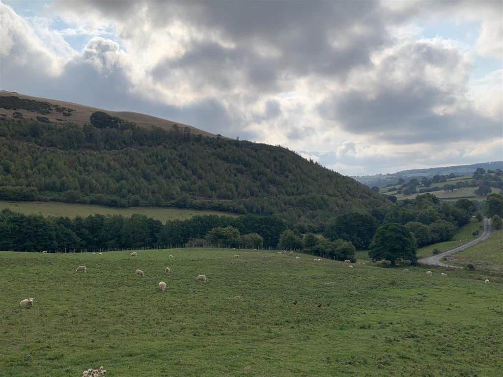 Land for sale in Cyffylliog, Ruthin, LL15