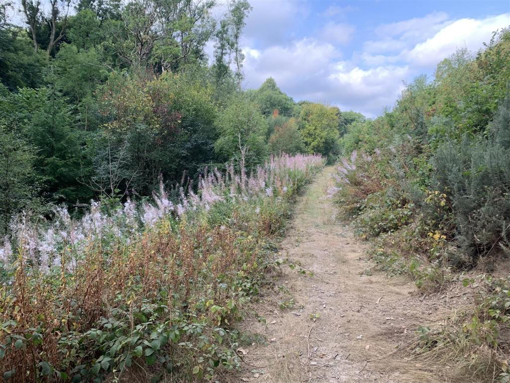 Land for sale in Cyffylliog, Ruthin, LL15