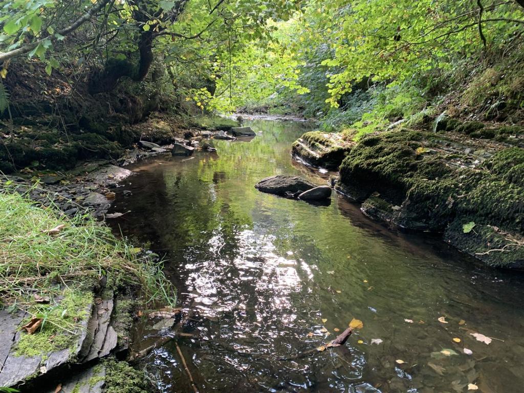 Land for sale in Cyffylliog, Ruthin, LL15