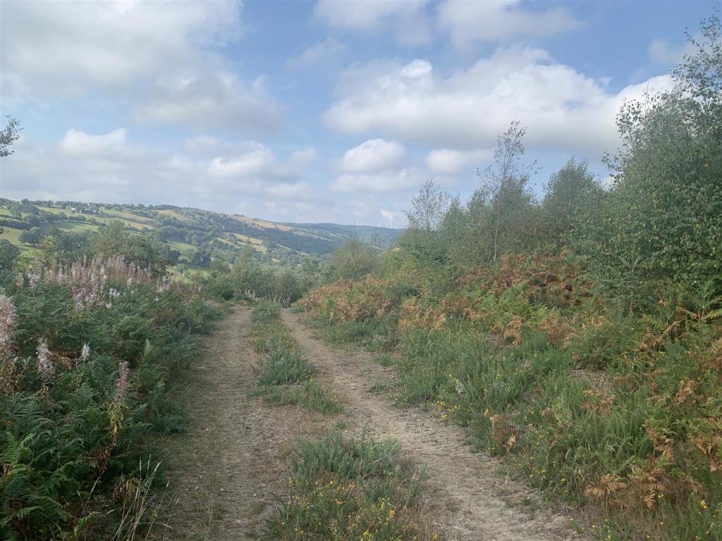 Land for sale in Cyffylliog, Ruthin, LL15