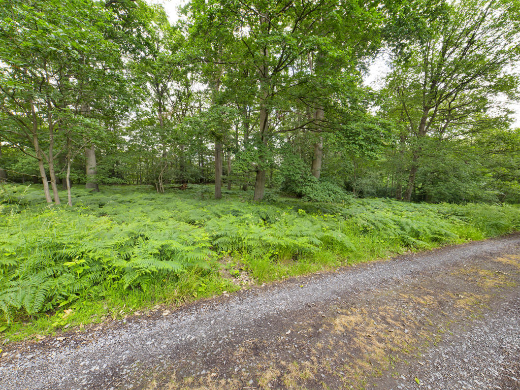 2 bedroom lodge for sale in Meadow Cottage Hawkbatch Bewdley DY12 3AH, DY12