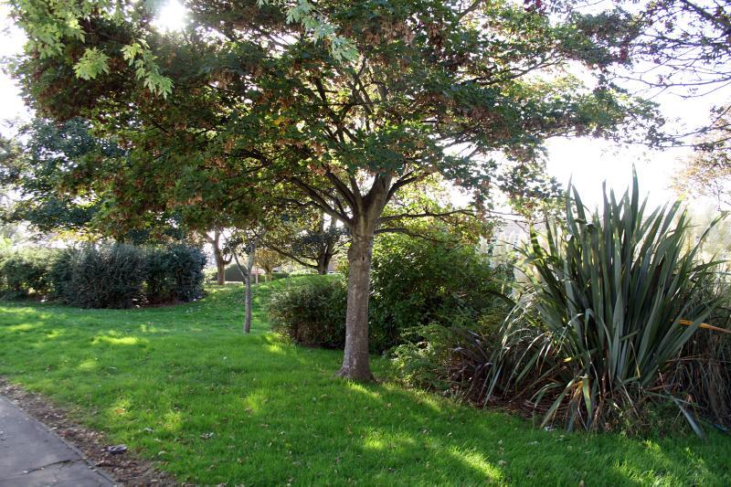 Additional property image - The Haven, Littlehampton, West Sussex