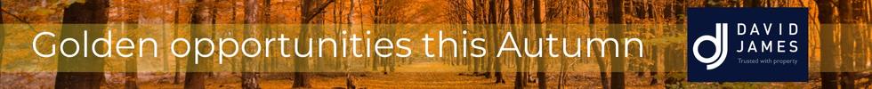 Get brand editions for David James, Monmouth
