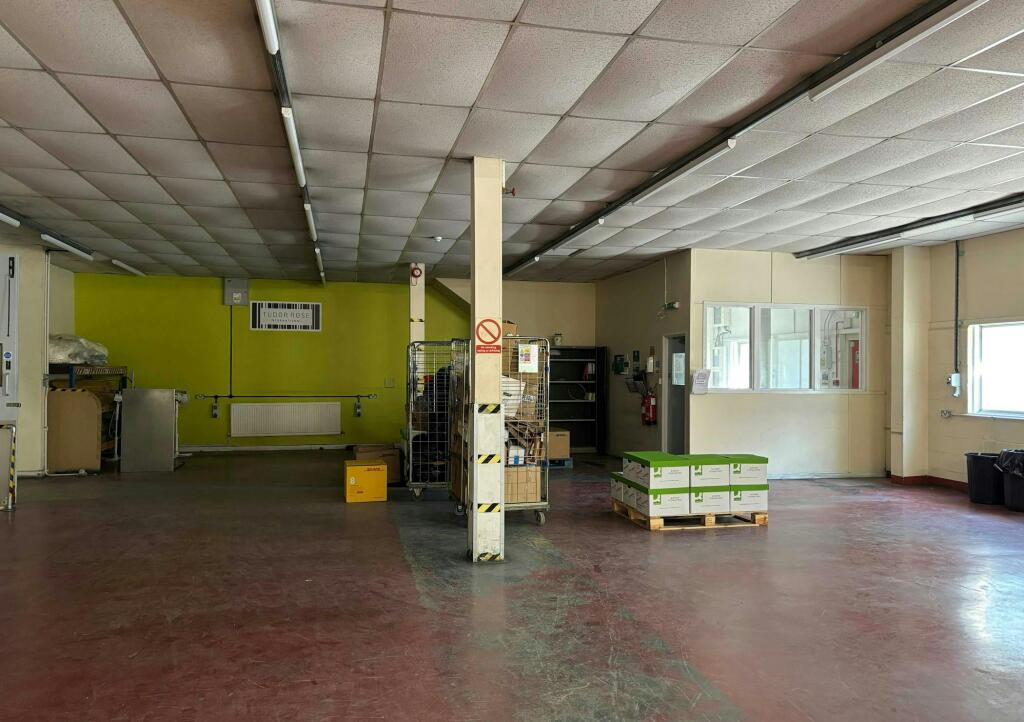 Unit 1 Kingfisher 4.jpeg