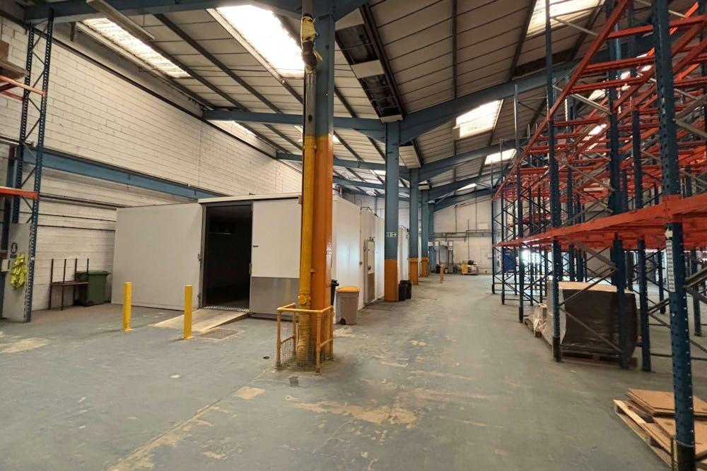 Unit 1 Kingfisher 3.jpeg