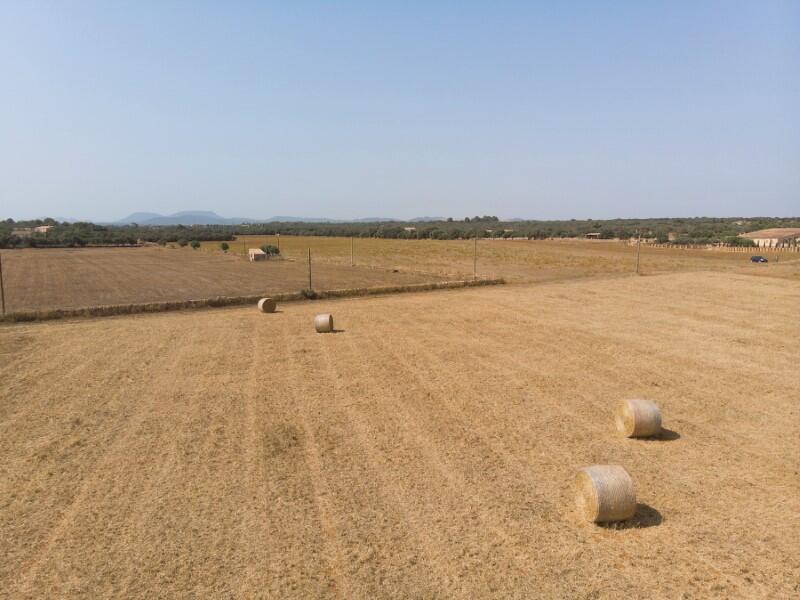 Main image of property: Balearic Islands, Mallorca, Campos