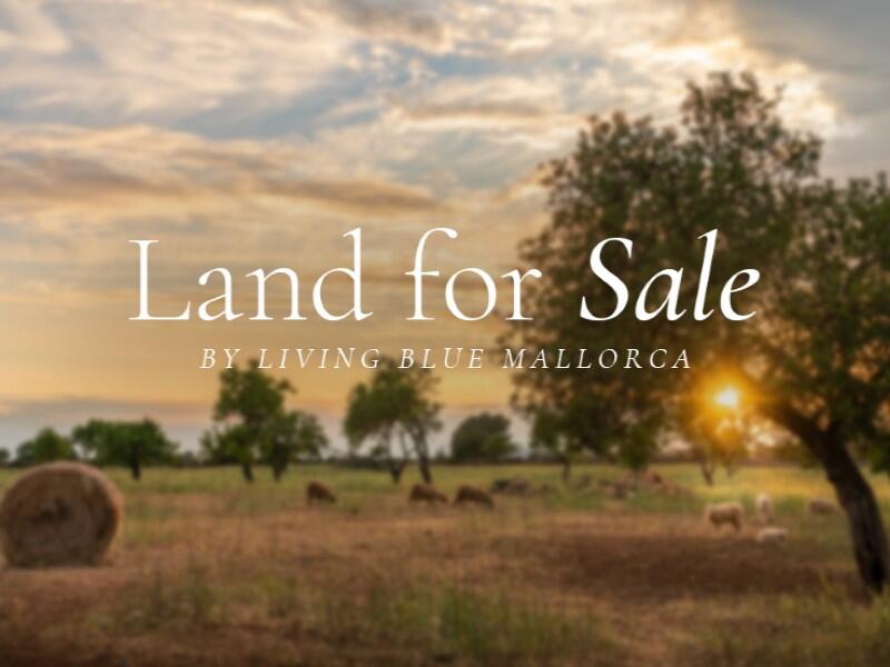 Main image of property: Balearic Islands, Mallorca, Inca