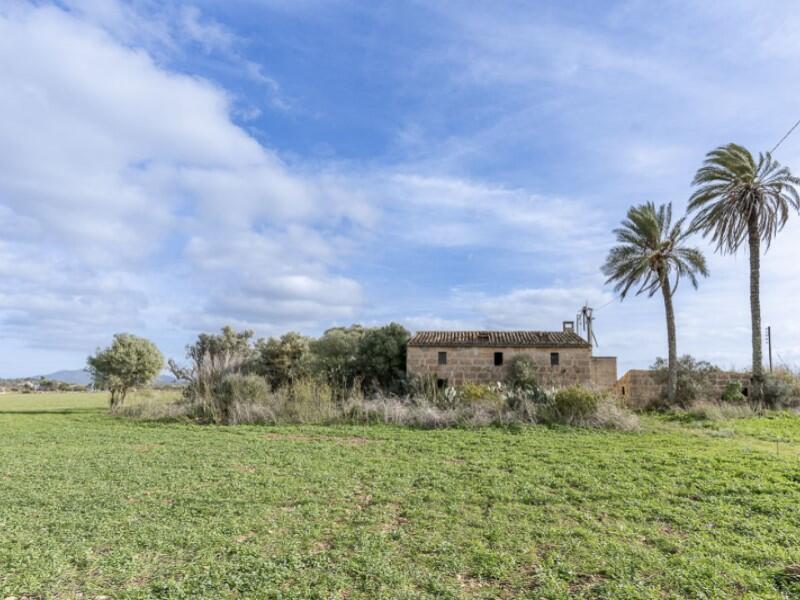 Main image of property: Balearic Islands, Mallorca, Campos
