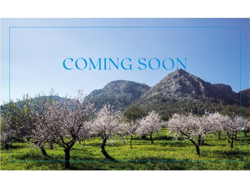 Main image of property: Balearic Islands, Mallorca, Palma de Mallorca