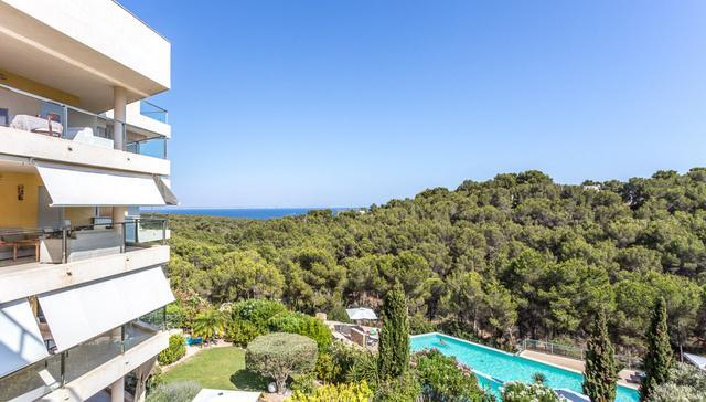 Main image of property: Sol de Mallorca, Mallorca, Balearic Islands