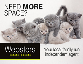 Get brand editions for Websters Estate Agents, Teddington