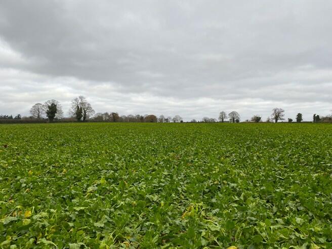 Main image of property: 11.13 Ha (27.50 Ac), Shack Lane, Blofield, Norfolk, NR13